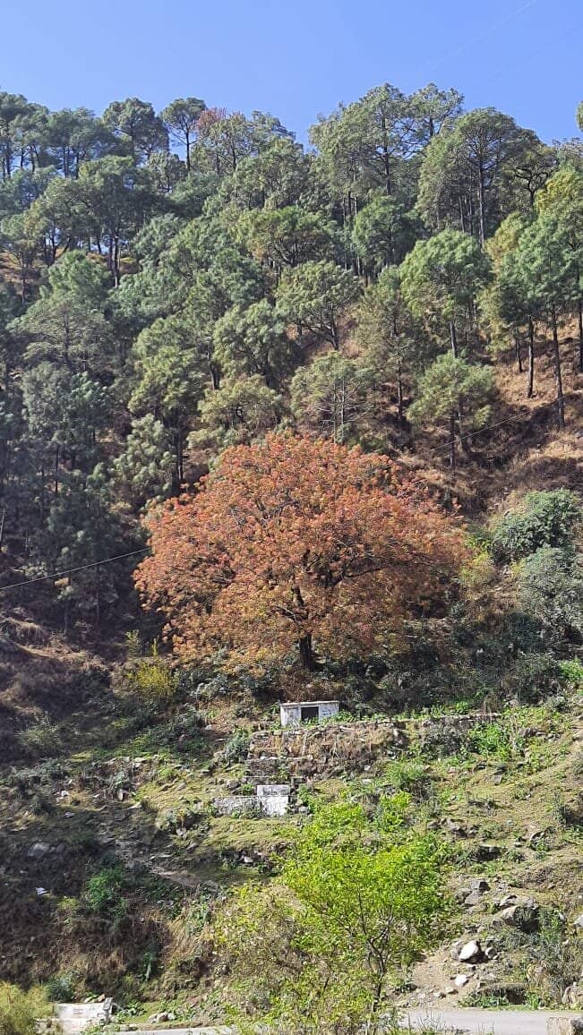 Serene Sunrise/Sunset