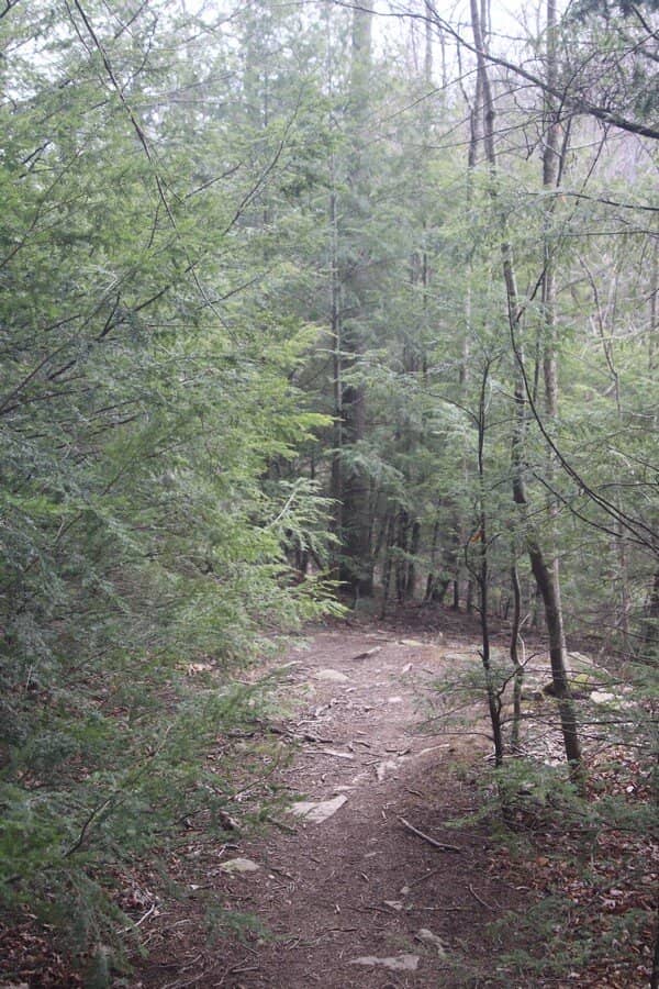 Fifteen Mile Creek