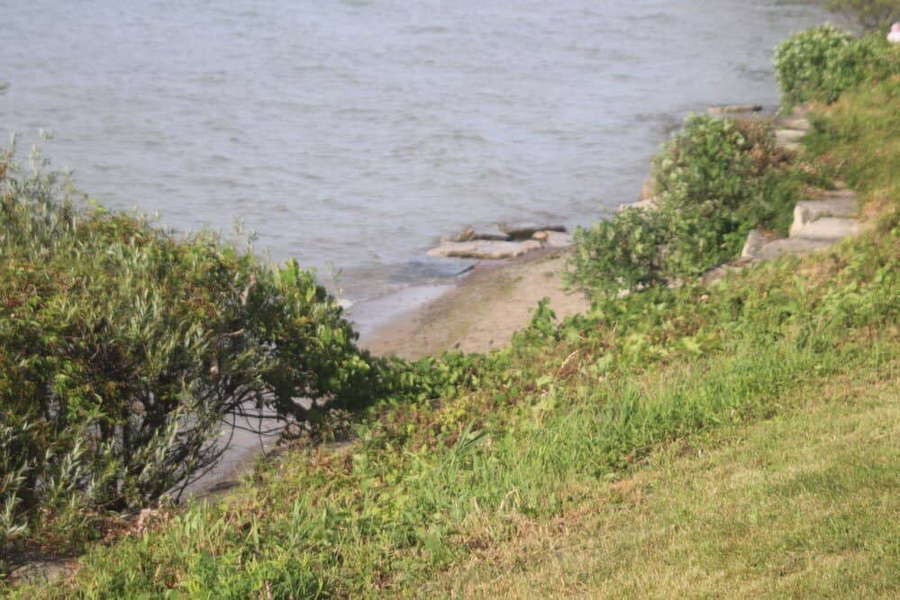 Tranquil Picnic Spot