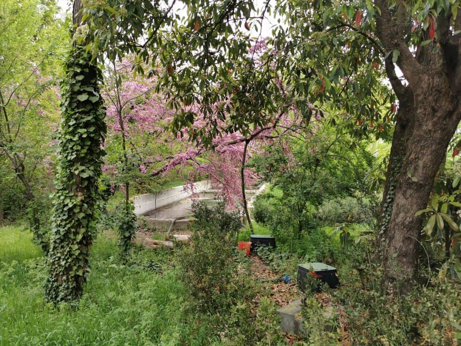 Themed Gardens