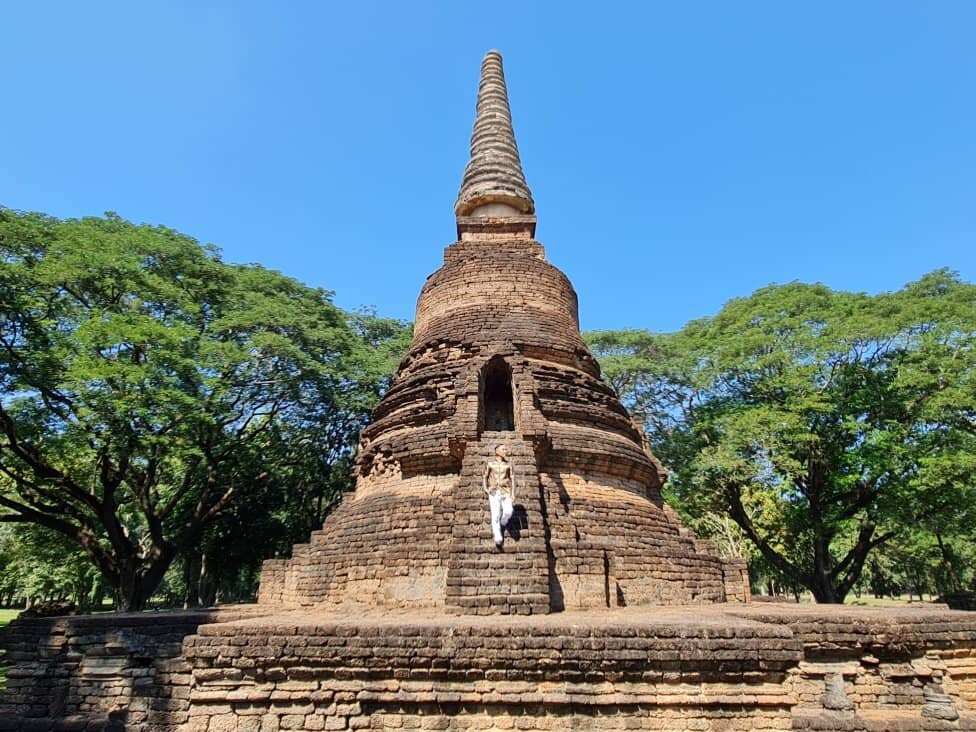 Peaceful Forest Setting