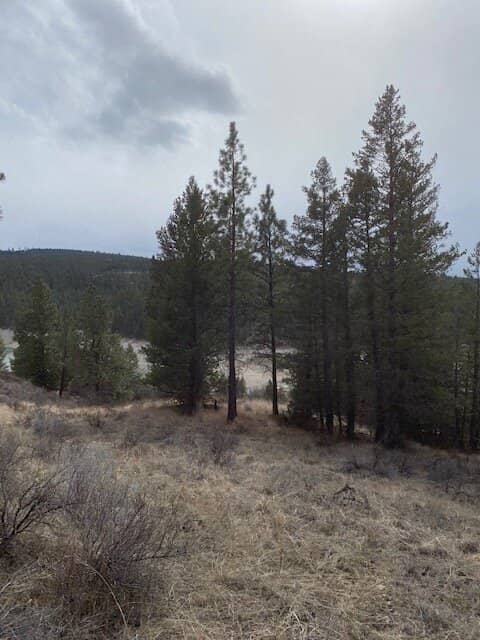 Scenic Byway Drive