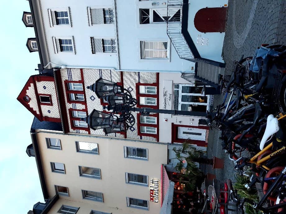 Zurich's Rose Fountains