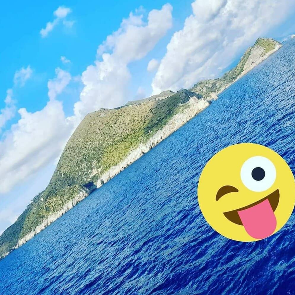 Vertical photo