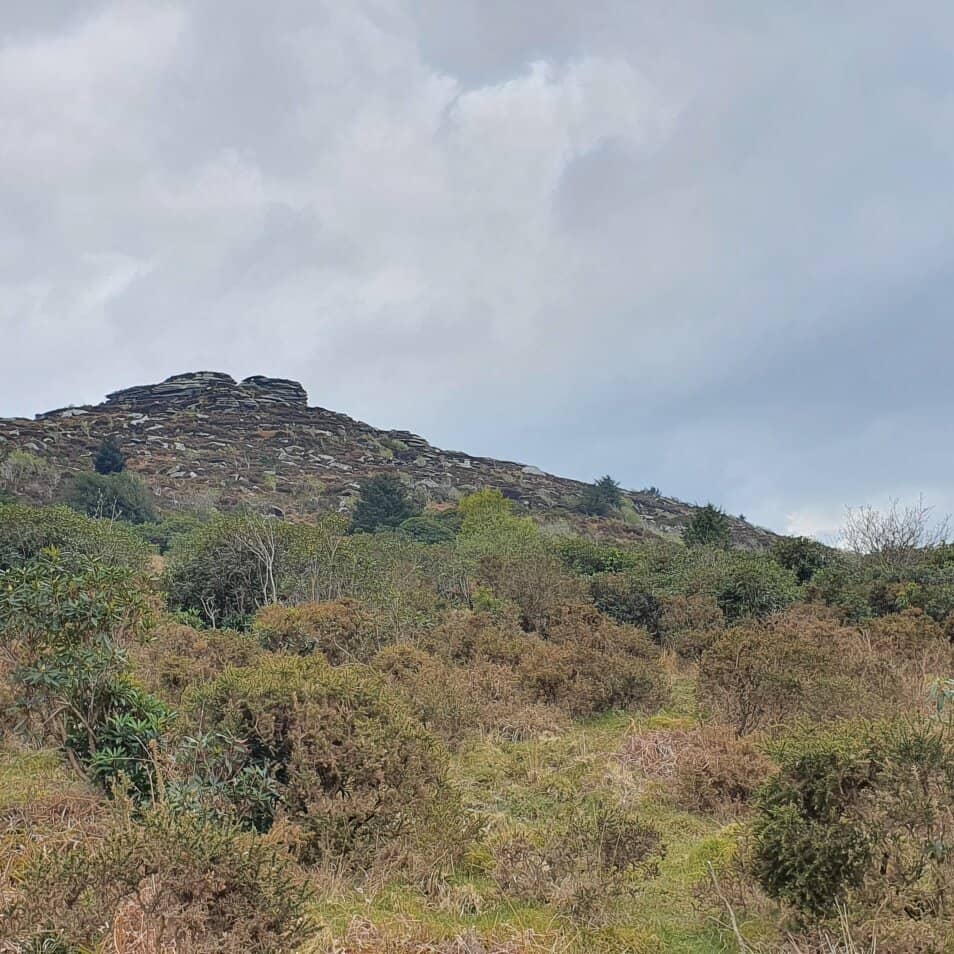 Raptor Migration Viewing