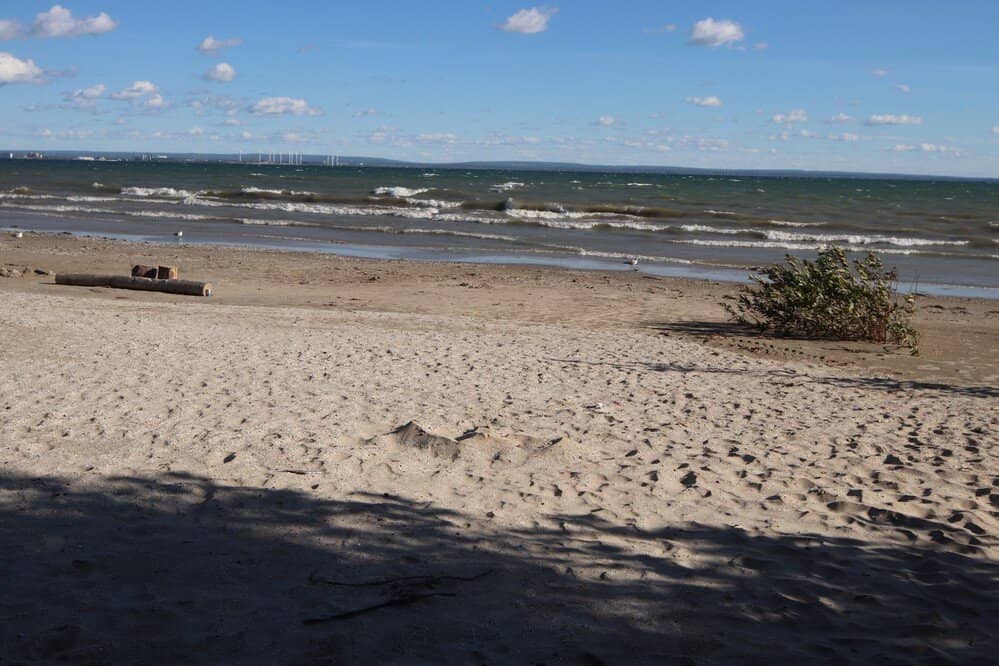 Picnic and BBQ Areas