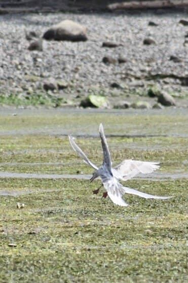 Ship-Themed Playground