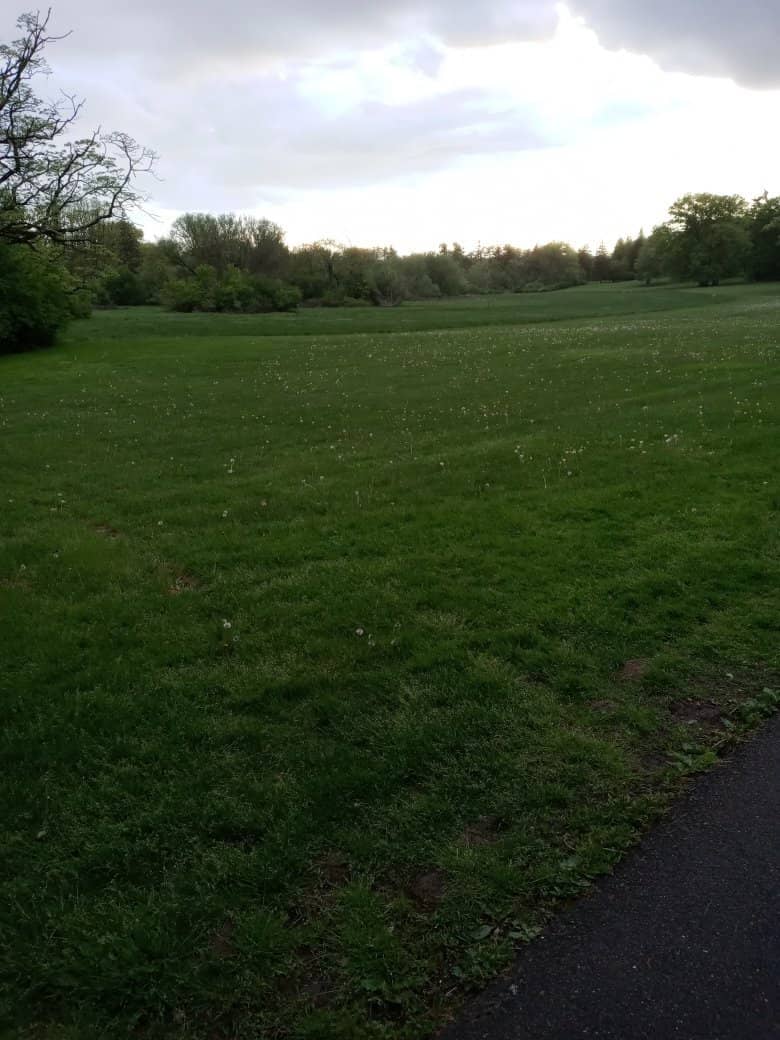 Scenic Walking Trails