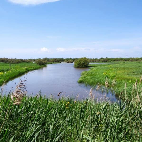 Peaceful Nature Walks