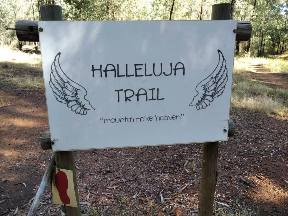 Picture This Studios