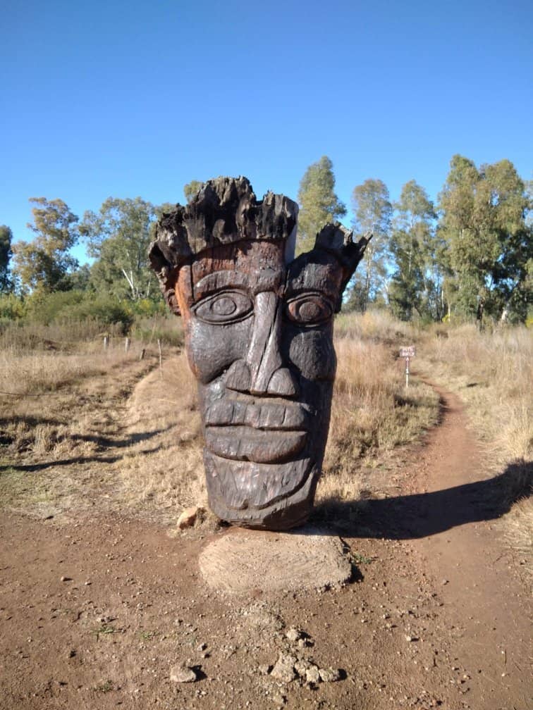 Irene Village Market
