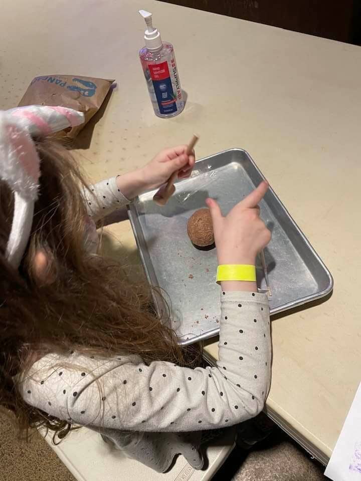 Dinosaur Passport Challenge