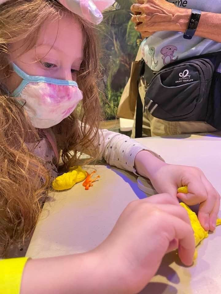 Baby Dinosaur Encounters