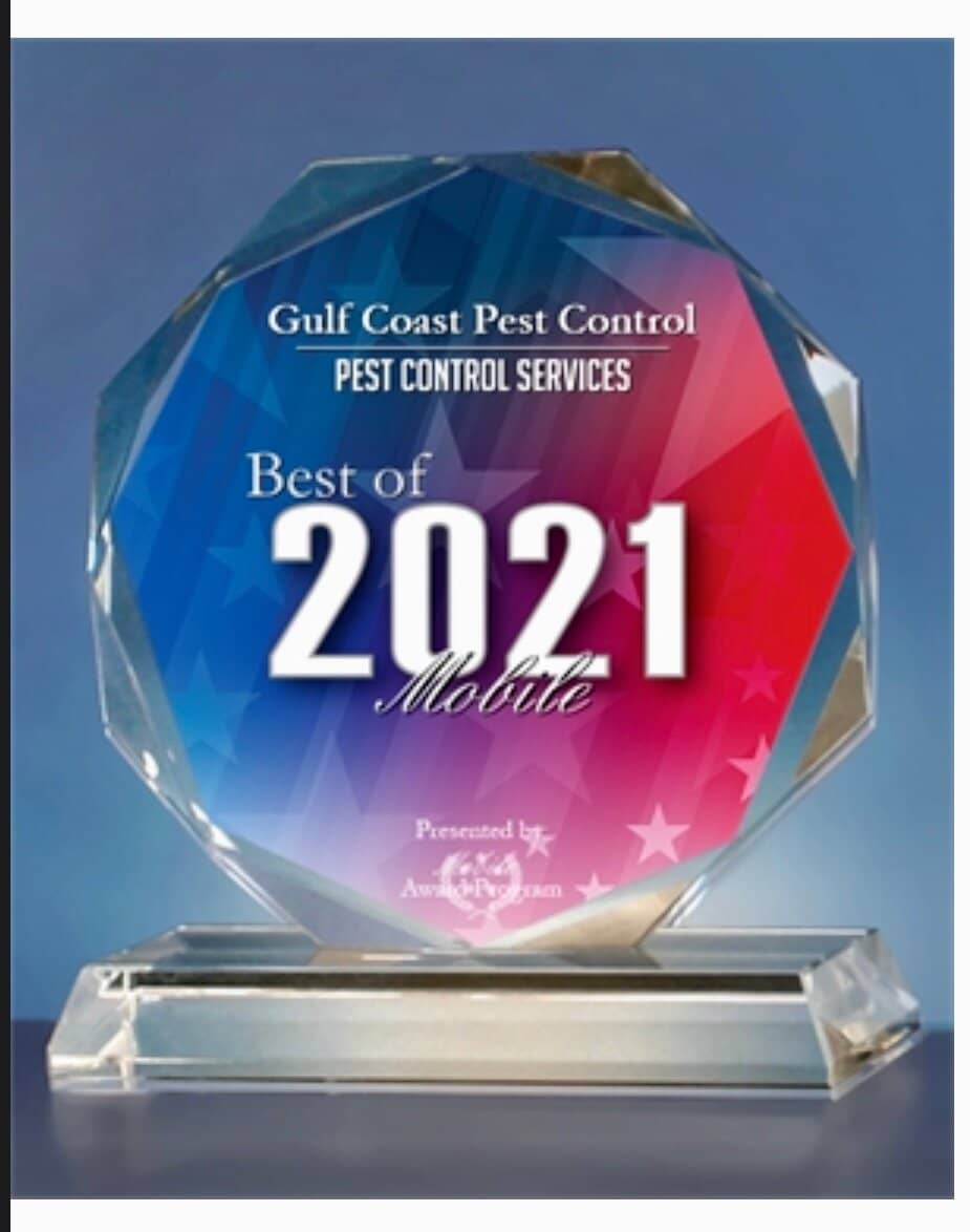 Warm & Welcoming Ambiance