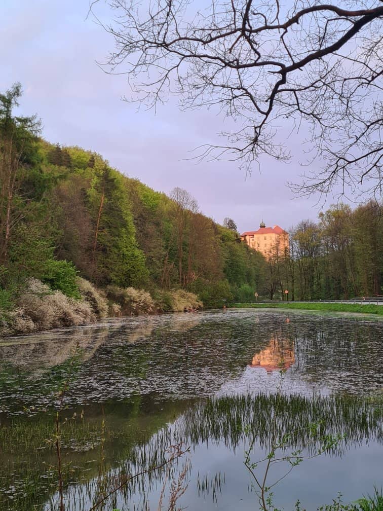 The Castle Itself