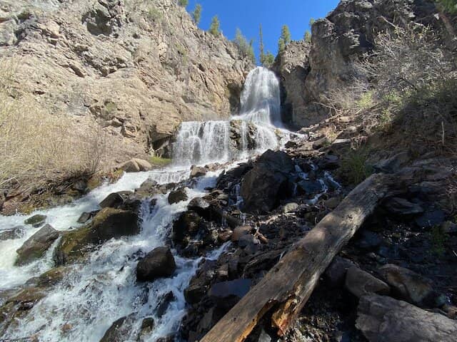 Vertical photo