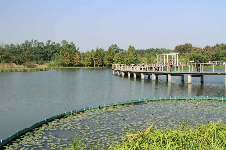 Cycling Paths