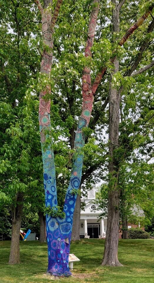 Art and History Galleries