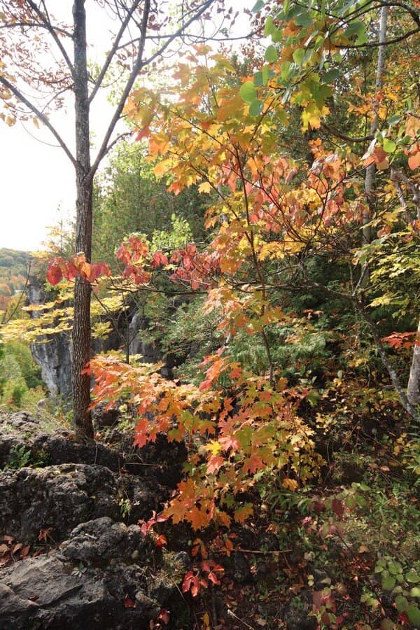 Metcalfe Rock