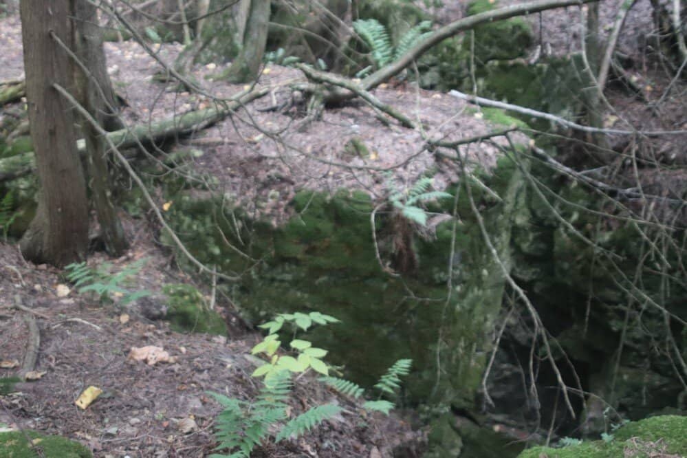 Vertical photo