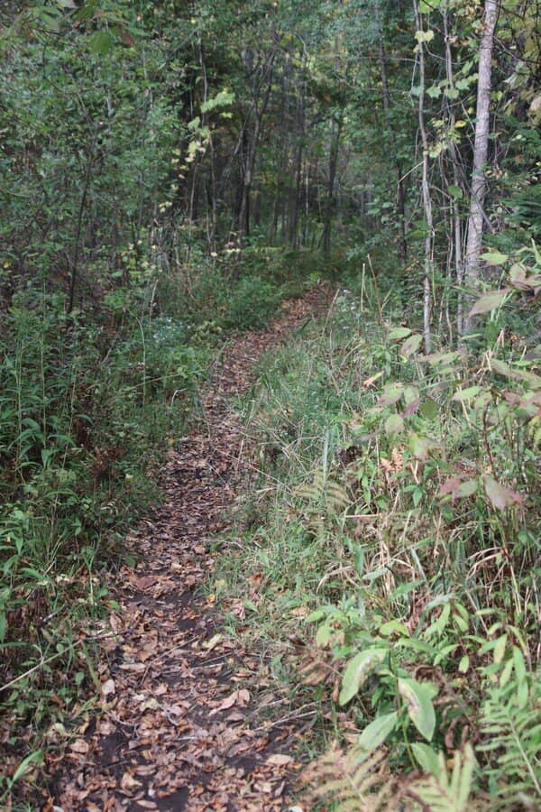 Nature Trails & Wildlife