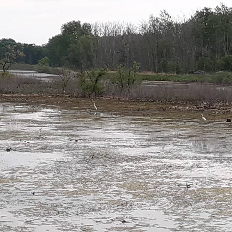 Woodland Trail Exploration