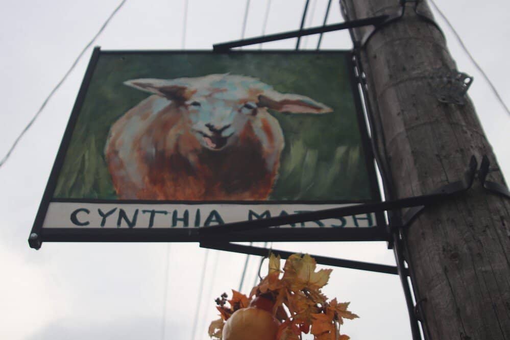 Marsh Street Murals