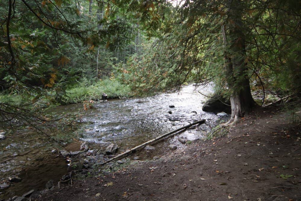 Ravine Descent
