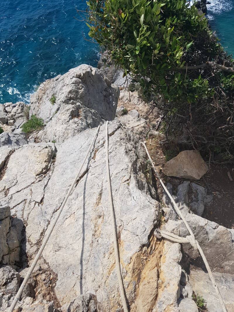 Vertical photo