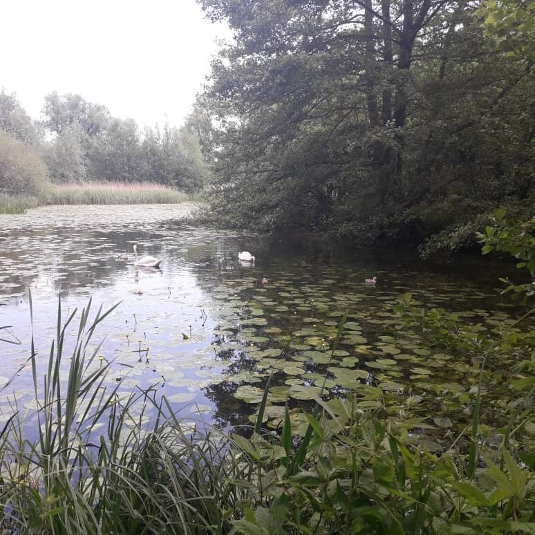 Vänga Mill