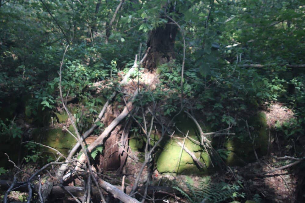 Standing Rock Side Trail