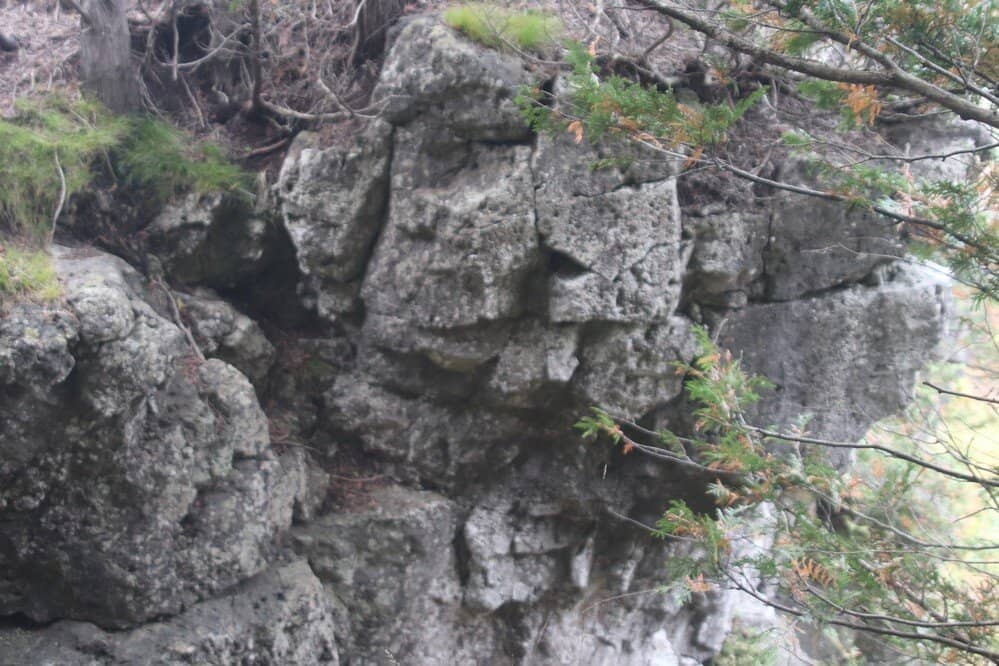 Niagara Escarpment Cliff Edge