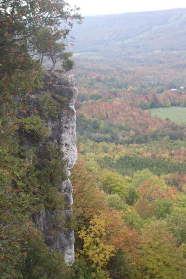 Vertical photo