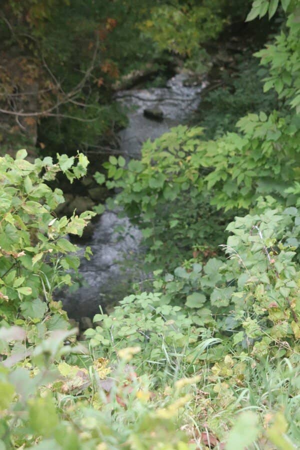 Bruce Trail Access