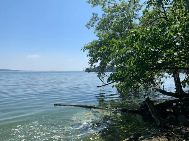 Fire Pits & Picnic Spots