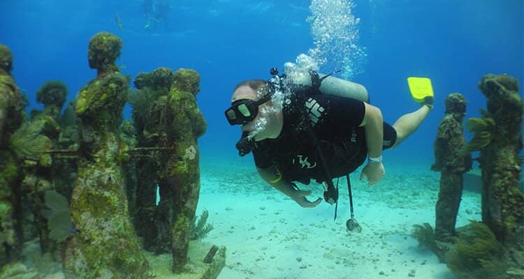 Sea Turtle Encounters