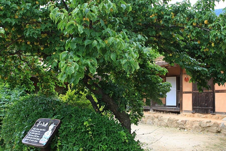 Servant Quarters and School