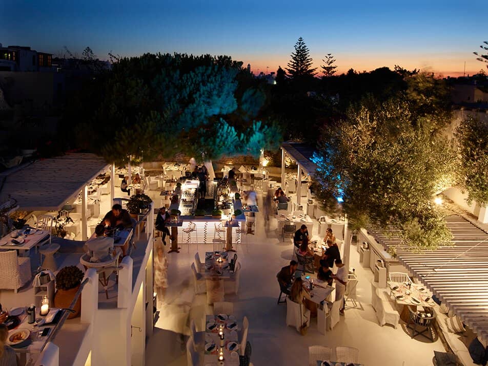 Beautifully Plated Mediterranean Dishes