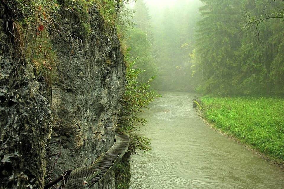 Vertical photo