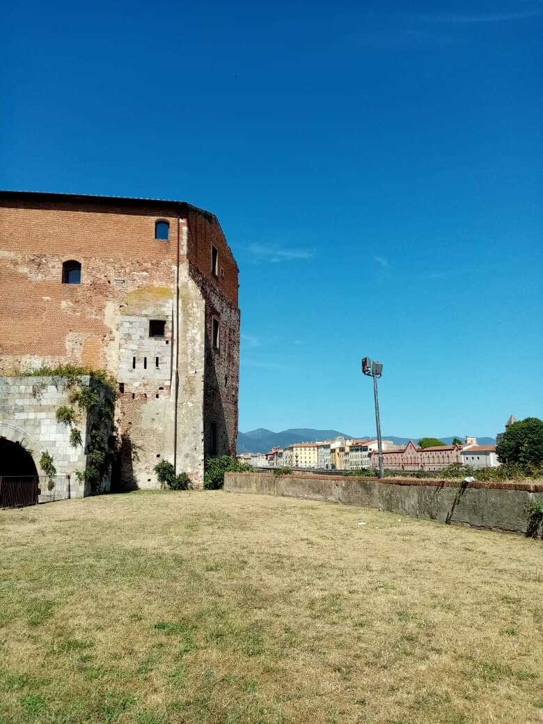 Vertical photo