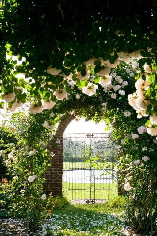The Topiary Masterpieces