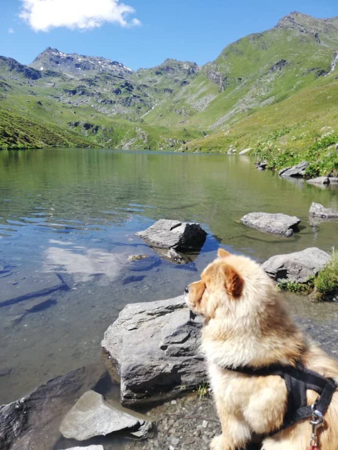 Skiing from La Masse