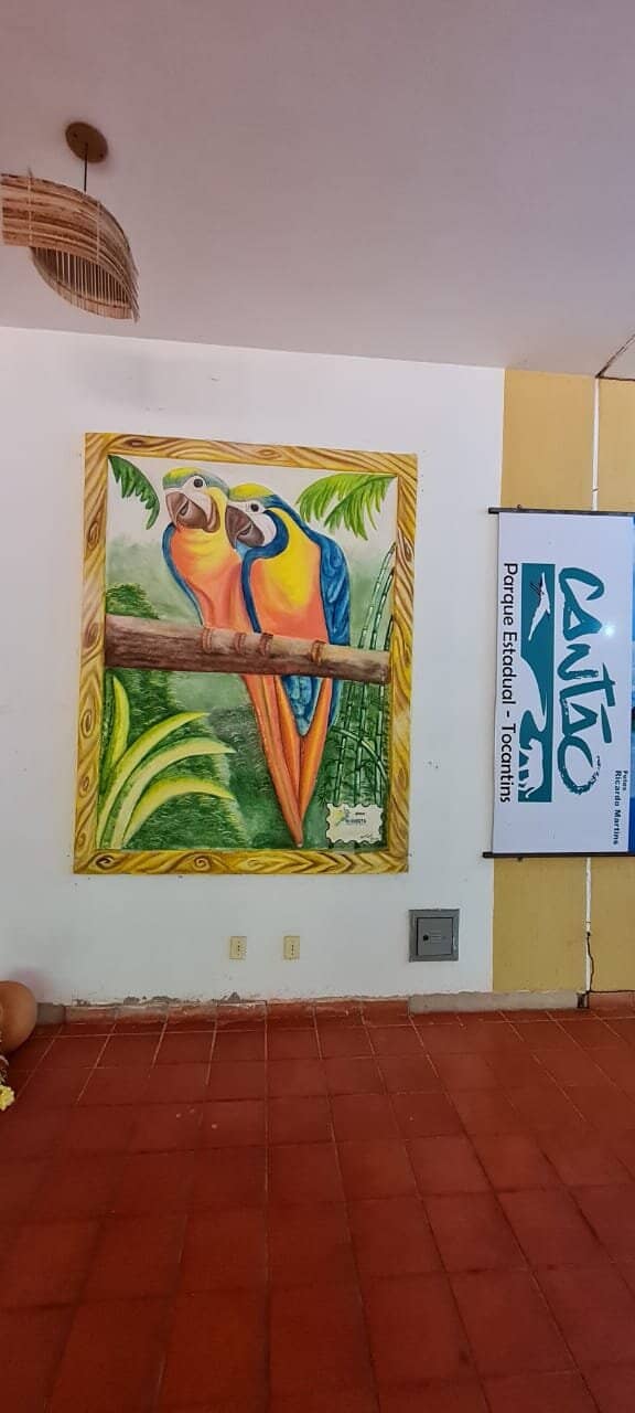 The Lagoons of Araguaia