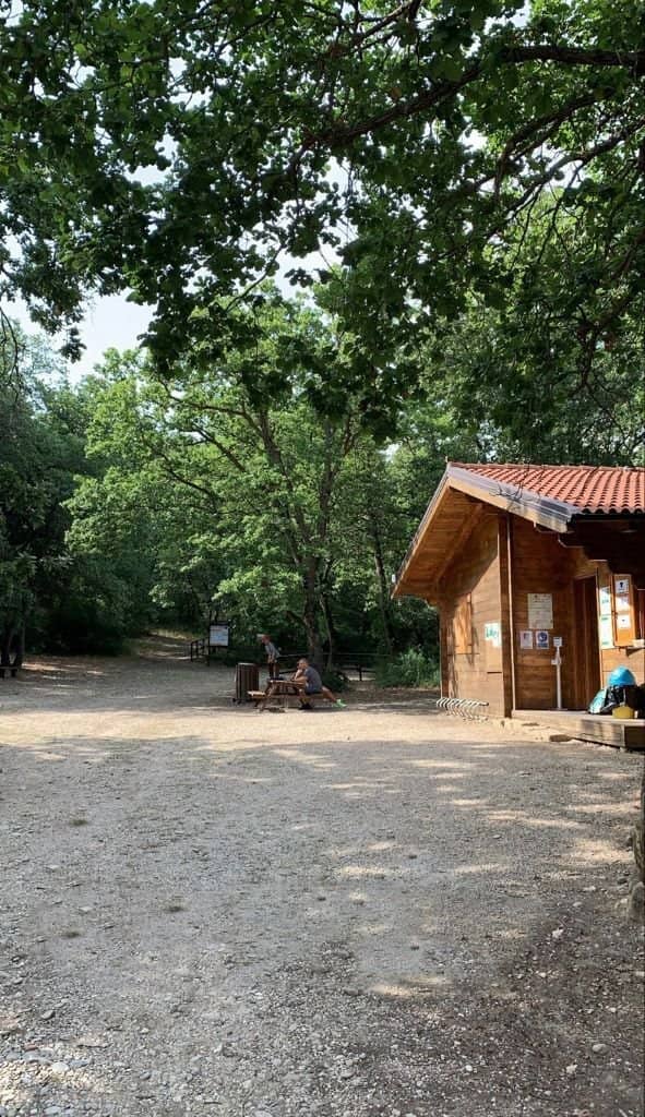 Pond with Amphibians
