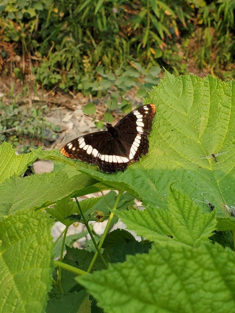 Winter Wonderland Hike