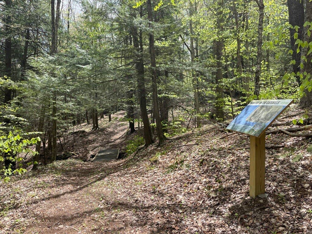 Beginner & Intermediate Skiing