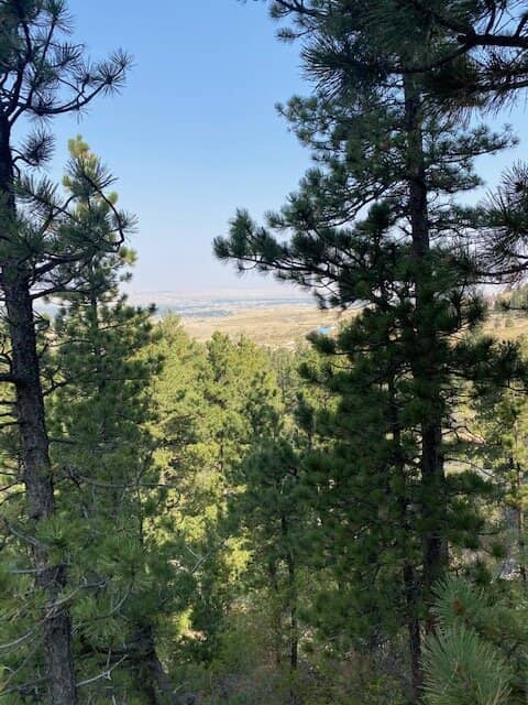 Peaceful Park Benches