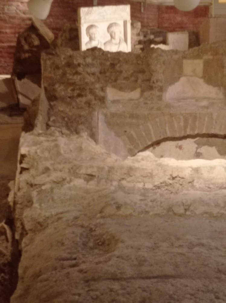 Human Remains on Display