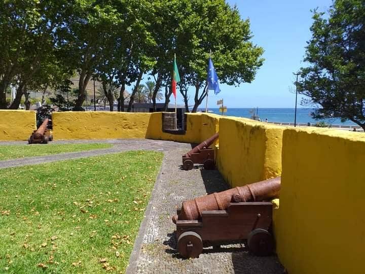Peaceful Park Setting