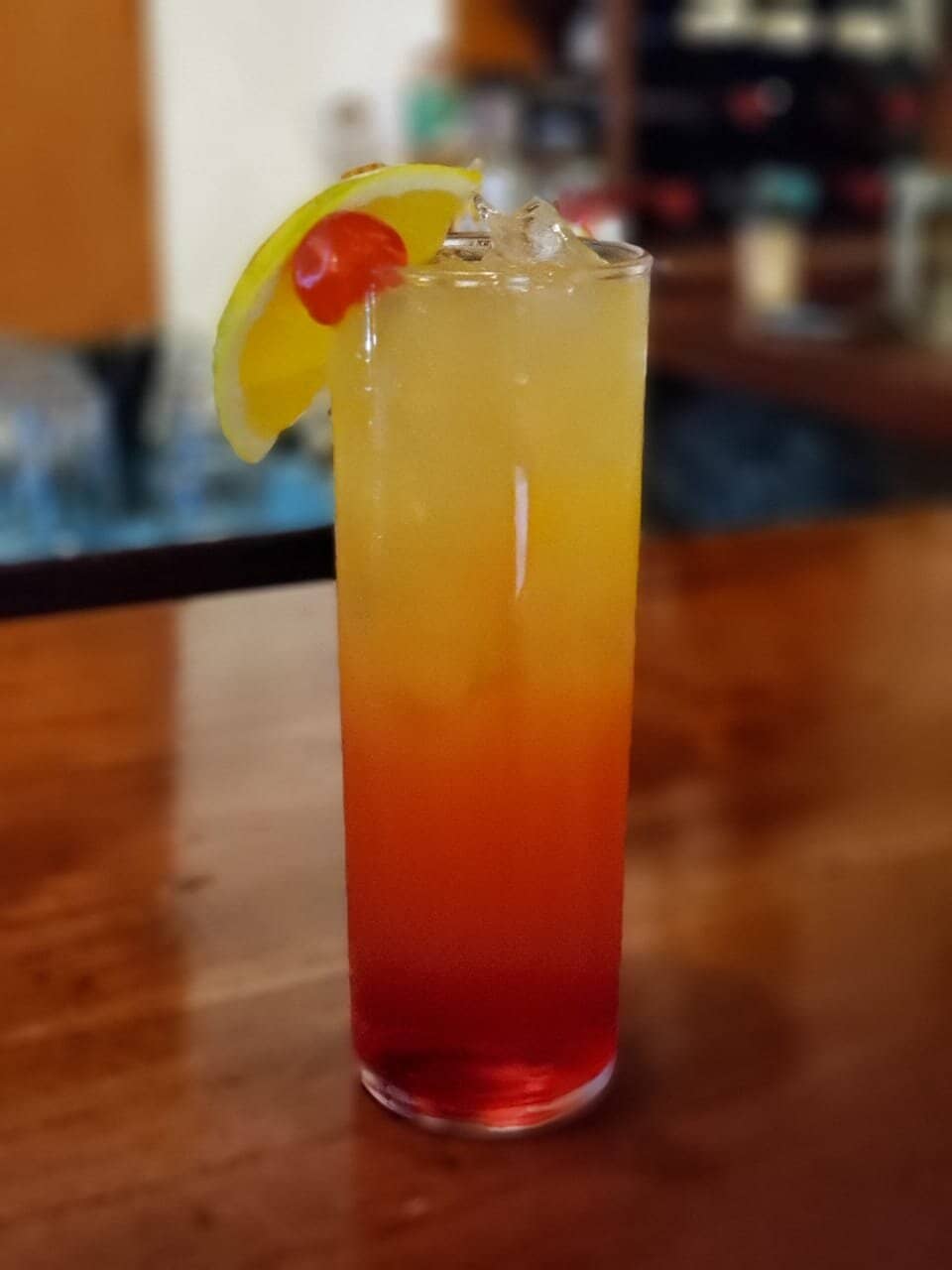 Wild Macaw Sightings